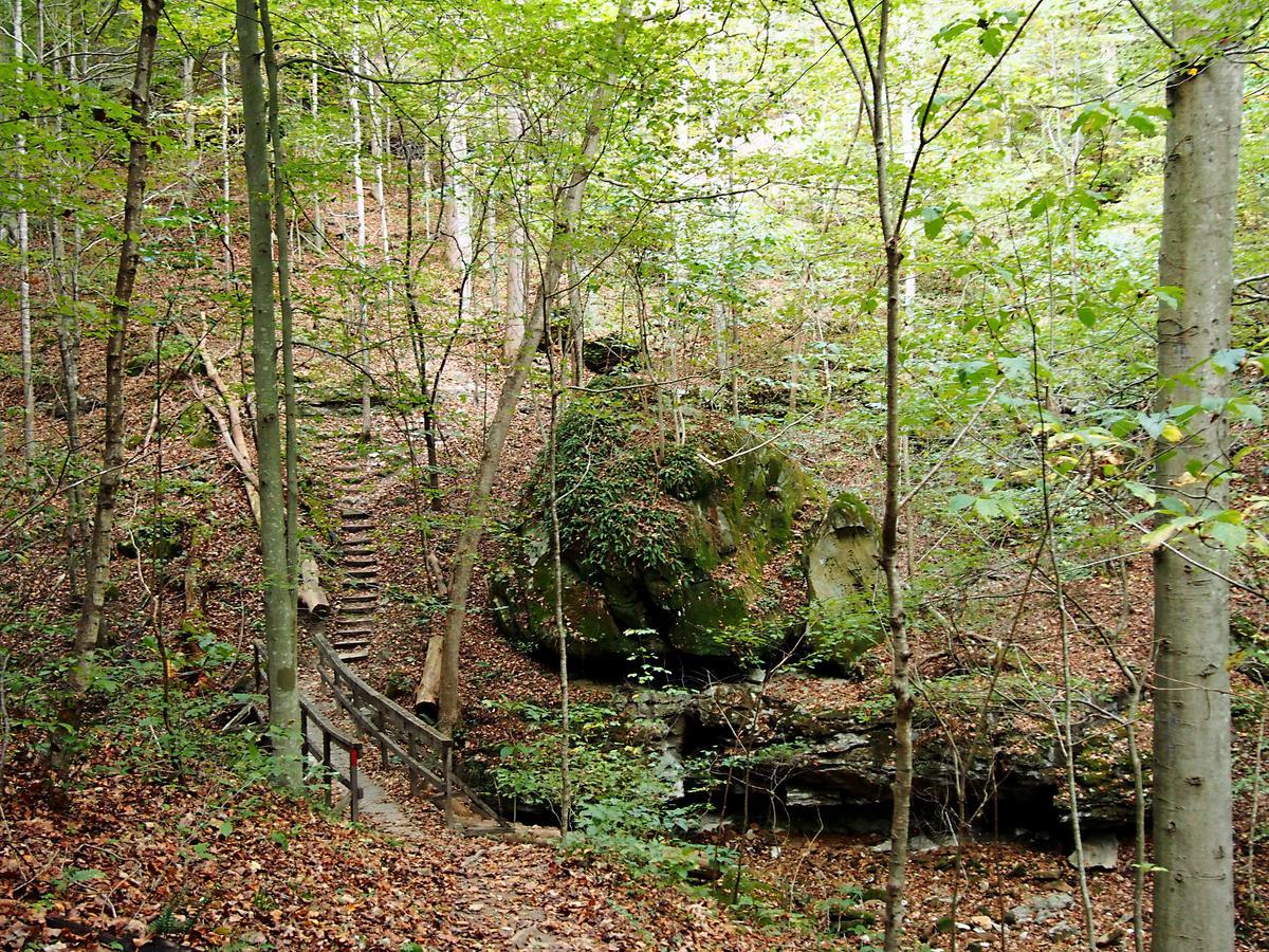 Carter Caves State Resort Park Olive Hill Exterior foto
